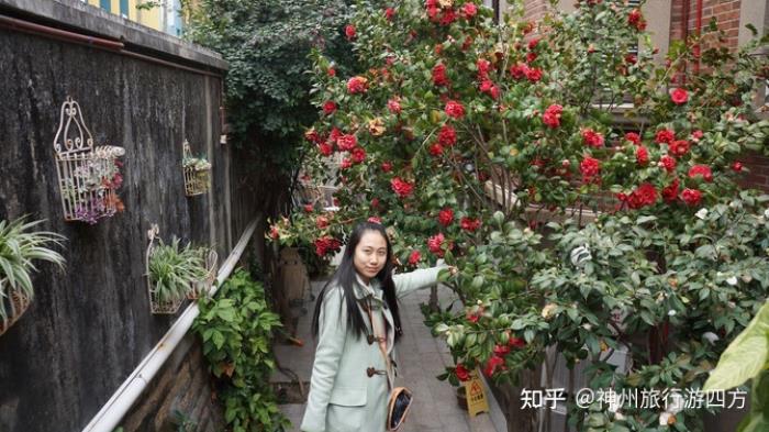 廈門個人導游價格與費用到福建廈門旅游，先了解廈門自駕游/自助游/自由行旅游攻略
