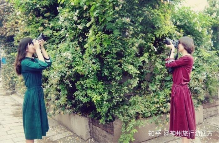 張家界私人導(dǎo)游_私人導(dǎo)游_私人女導(dǎo)游