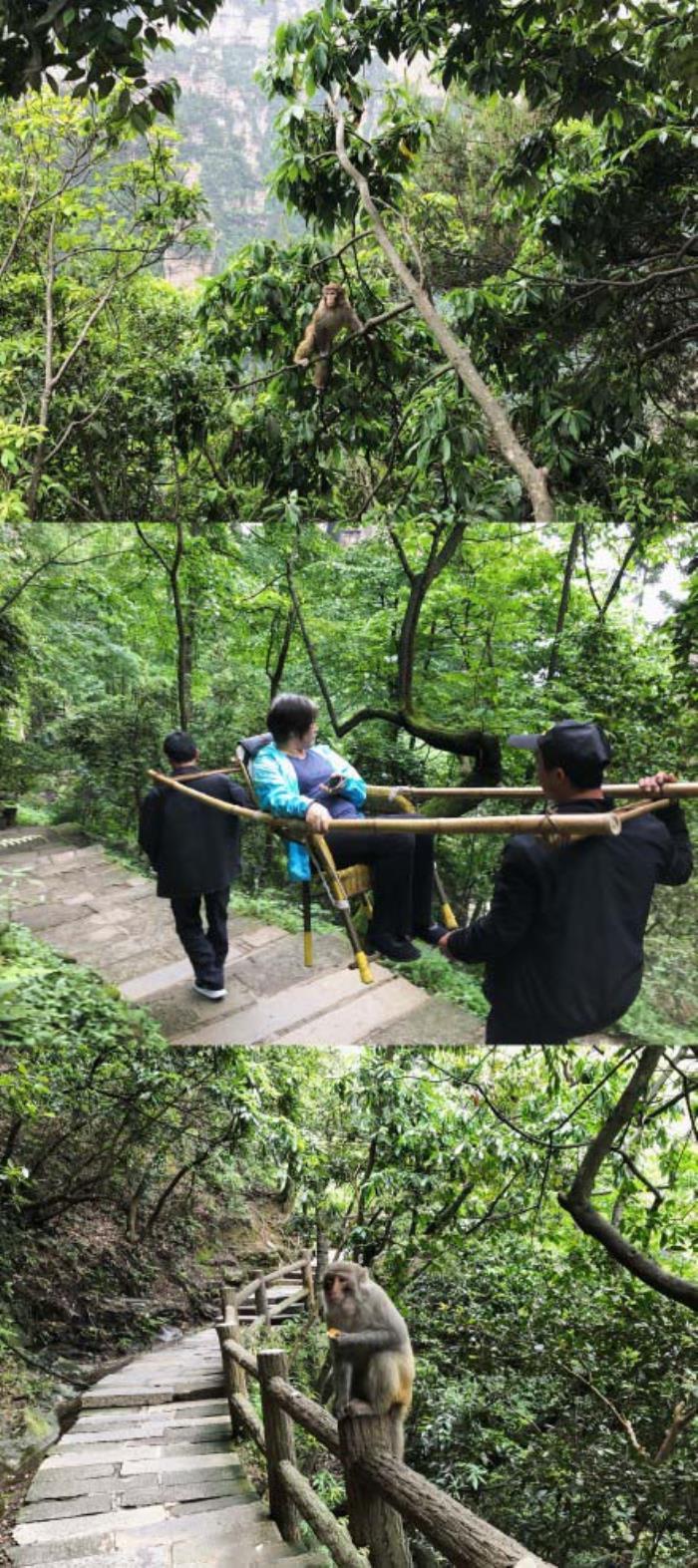 張家界家庭出游私人制定行程，自助游導游提供合理線路