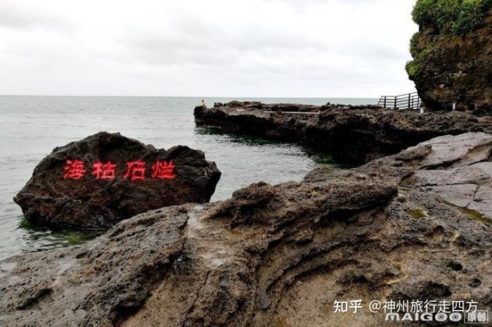 泰國旅游私人導游_我來做你的私人導游之武漢的論壇_私人導游