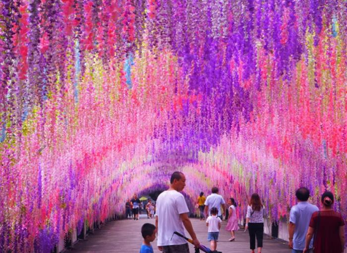 29.9玩遍水上樂園+海洋科普館+生態(tài)體育園！深圳觀瀾湖陪你度炎夏