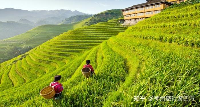 私人導(dǎo)游_泰國(guó) 私人導(dǎo)游_張家界私人導(dǎo)游