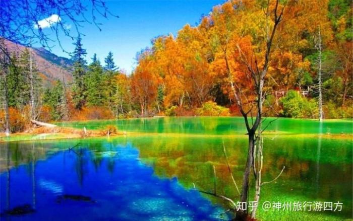 泰國 私人導游_私人導游_杭州私人美女導游私人當地向導