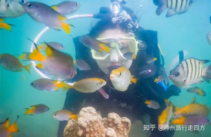 香港私人女導(dǎo)游_私人導(dǎo)游_泰國旅游私人導(dǎo)游