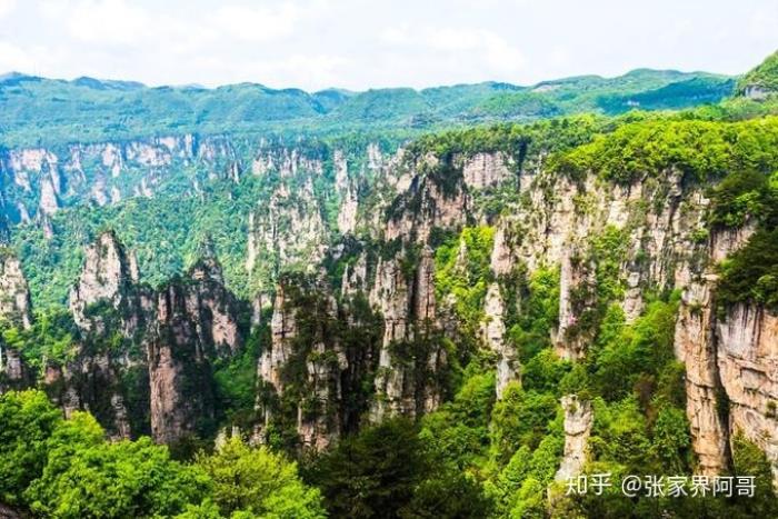私人導游價格_私人導游_私人導游潛規則