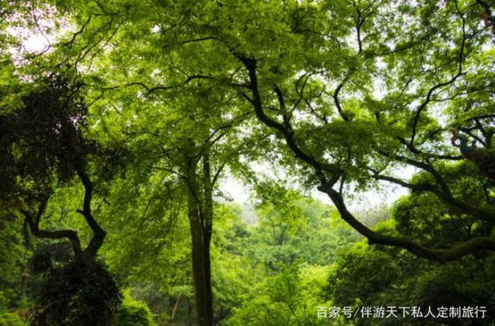 哪里招商務(wù)伴游男_廣州商務(wù)伴游_長(zhǎng)沙商務(wù)伴游