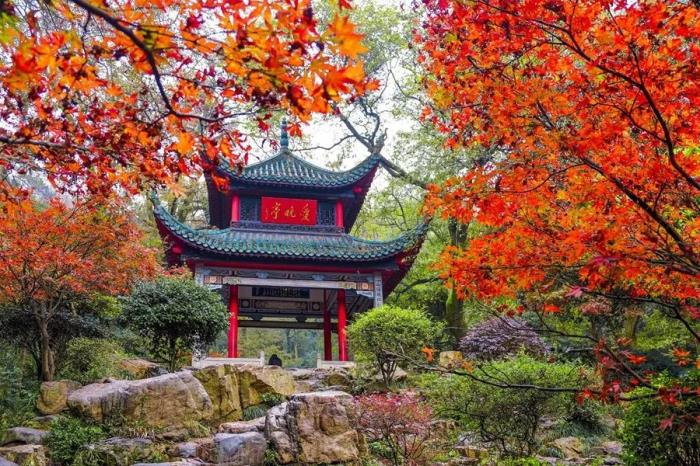 早上出發(fā)的高鐵前往長(zhǎng)沙南，晚上再去萍鄉(xiāng)！