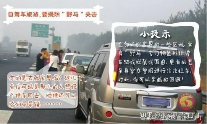 結伴游_長沙伴游_伴游交友