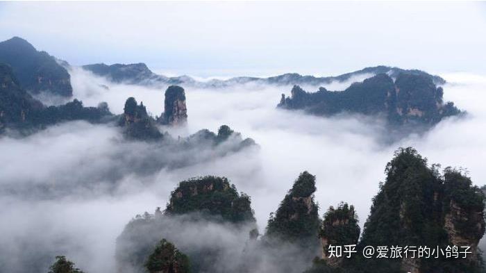 私人導游_泰國私人女導游帶過夜_私人導游潛規則