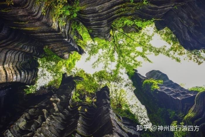 找私人導游_私人導游價格_私人導游