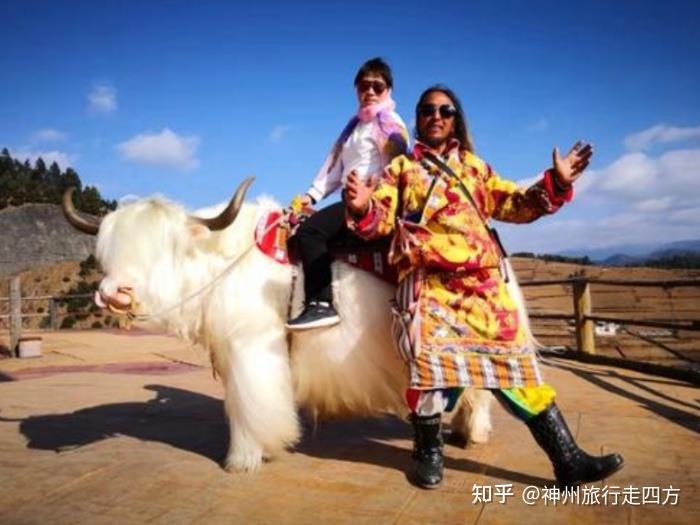 泰國旅游私人導游_泰國 私人導游_私人導游