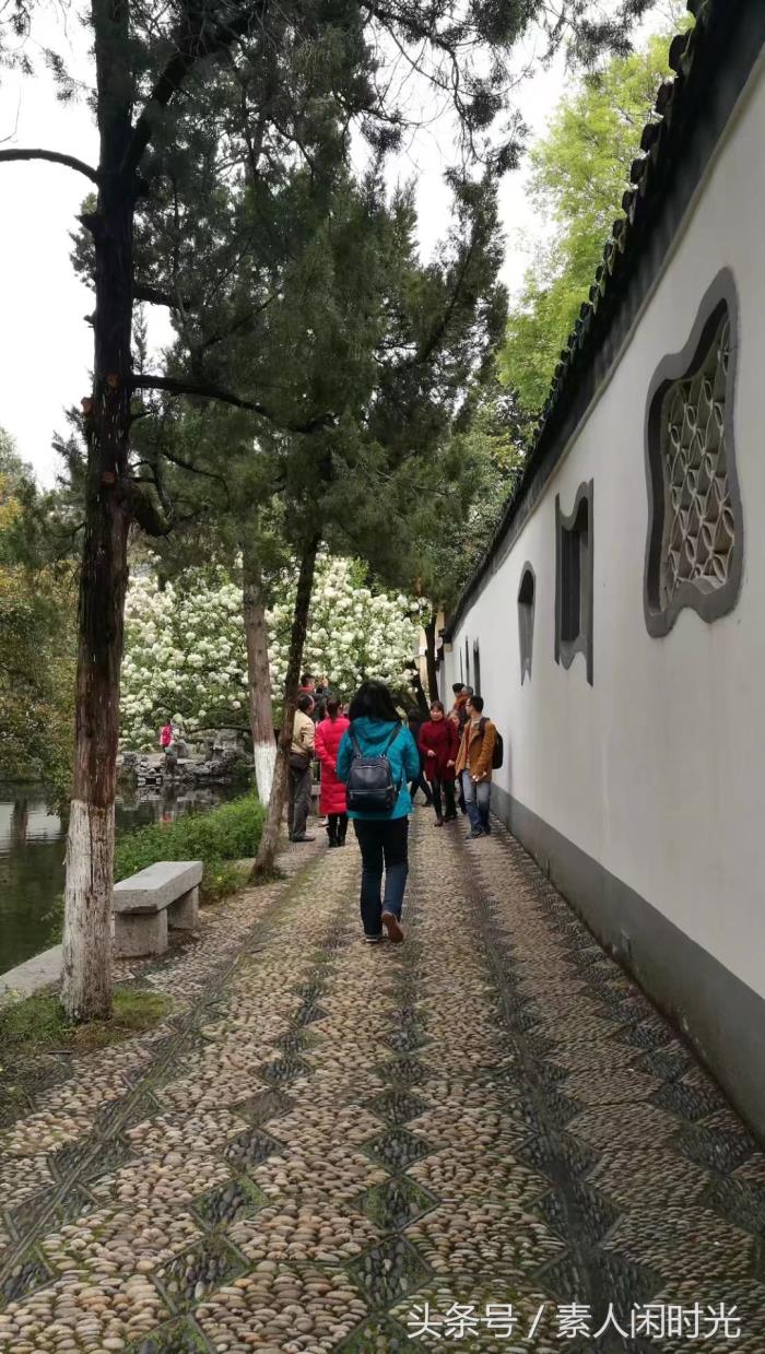 江南游之南京——出外旅游，你愿意請(qǐng)私人導(dǎo)游嗎