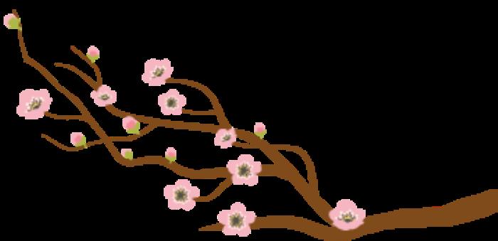 中國小伙花100元找私人導游，回國后就后悔了