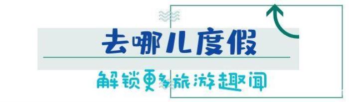 
日本女導游請私人導游，事后卻引起游客不滿！
