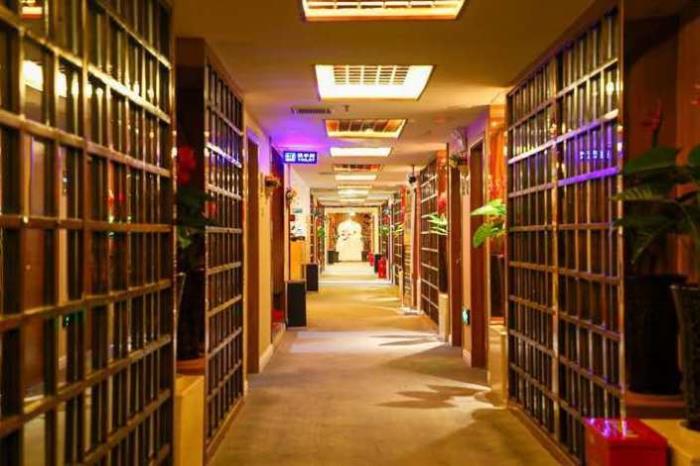【孫婷】做商務伴游要先交錢嗎，明星商務分享模特訪夢