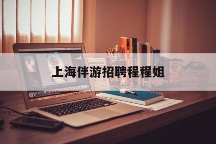 上海伴游雇用程程姐的簡單介紹