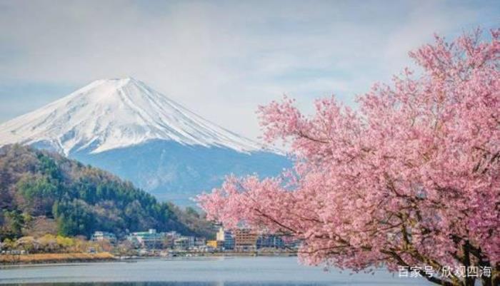  中國小伙在日本大賺特賺，感嘆日本伴游服務質量高