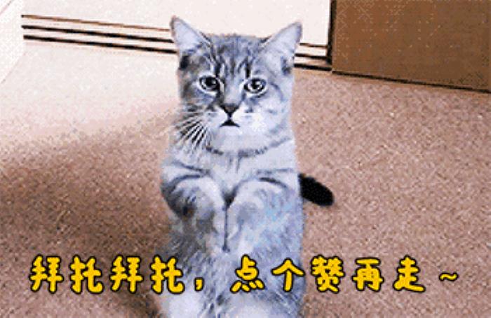 私人導游潛規則_私人導游_香港私人女導游