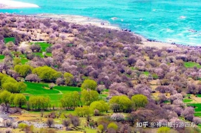 泰國旅游私人導(dǎo)游_私人導(dǎo)游_香港私人女導(dǎo)游