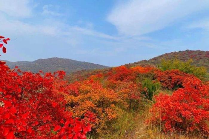 2022荊紫仙山紅葉節(jié)活動(dòng)攻略(時(shí)間+門(mén)票)