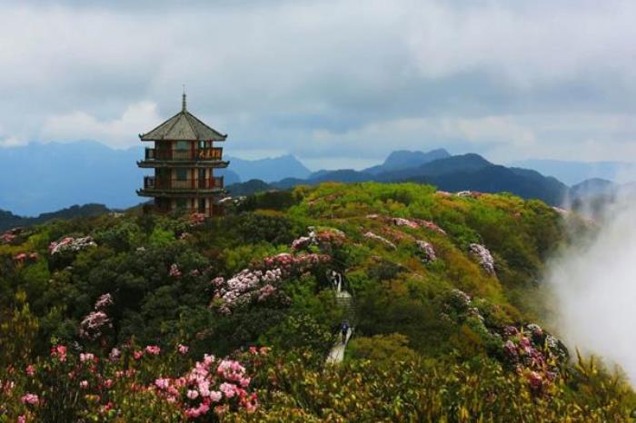 金佛山北坡和西坡有什么區別