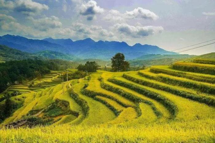 溫州澤雅風(fēng)景區(qū)攻略 夏季游玩攻略