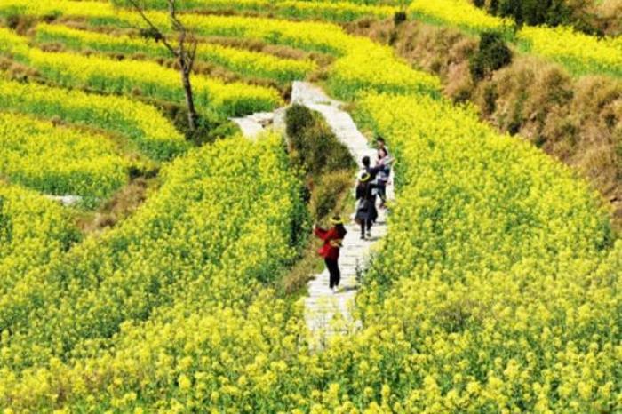 婺源自駕兩日游攻略