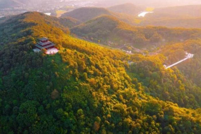 2022荊紫仙山紅葉節活動攻略(時間+門票)
