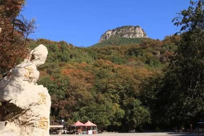 抱犢崮在哪里 在山東什么地方