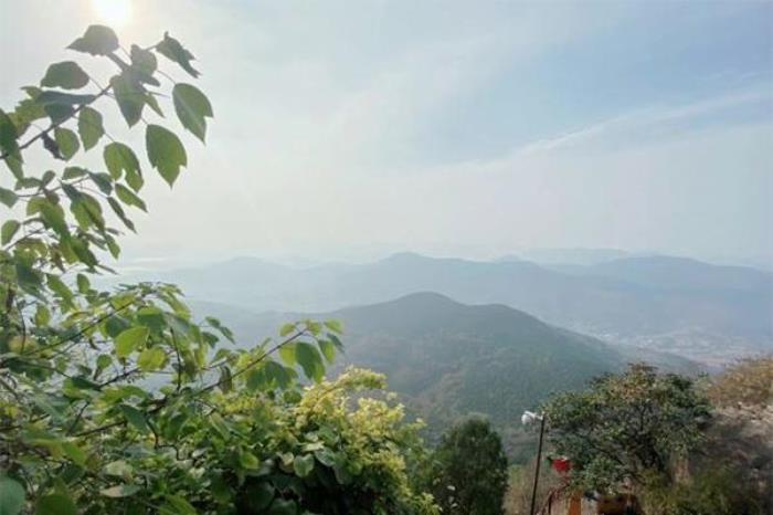 抱犢崮景區門票多少錢