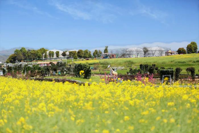 湖北春季(3月-4月)賞花地圖