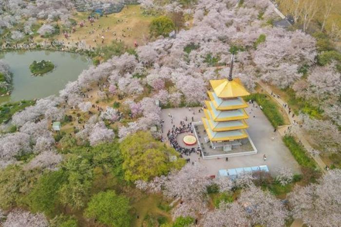 董宇輝去武漢都去了哪些地方