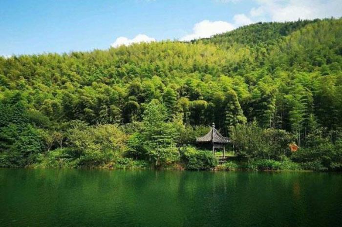 宜興竹海好玩嗎 宜興竹海有什么好玩的景點