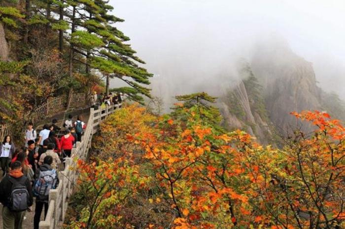 黃山賞秋自由行路線攻略