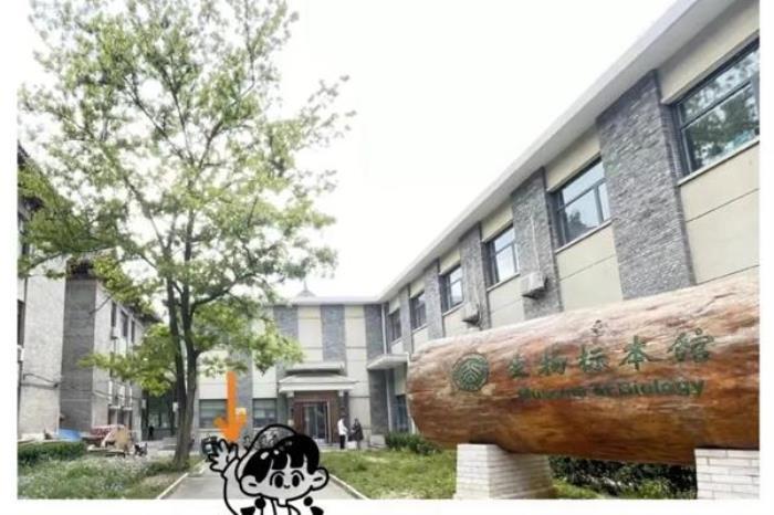 北京大學參觀詳細攻略2024