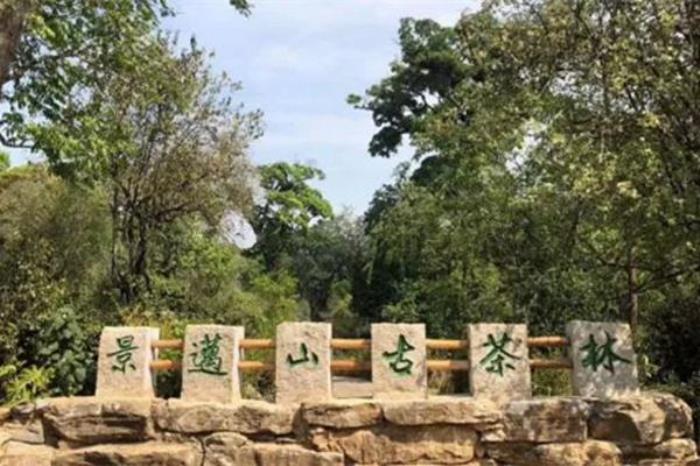 云南有哪些精品鄉村旅游線路