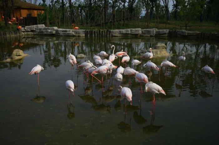 金牛湖野生動(dòng)物園攻略 最佳游玩路線(xiàn)推薦