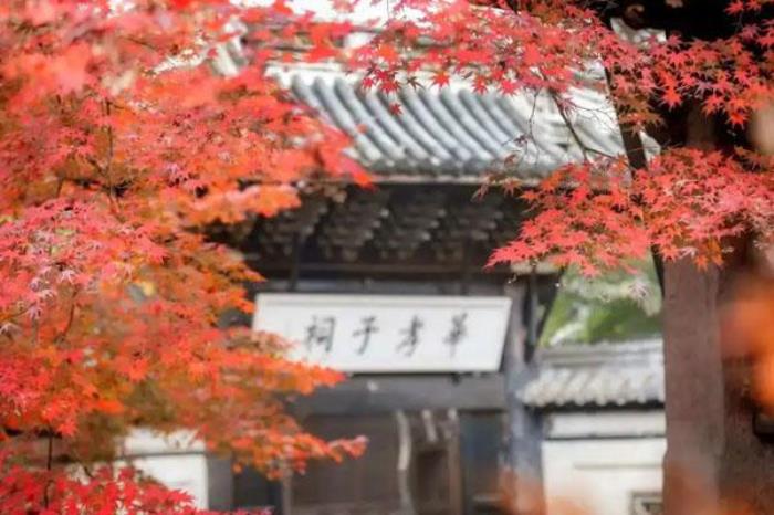 無錫惠山古鎮最佳觀賞楓葉地點推薦