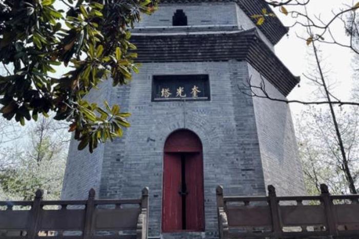 都江堰春天附近哪里好玩?這些免費踏青春游的地方值得打卡
