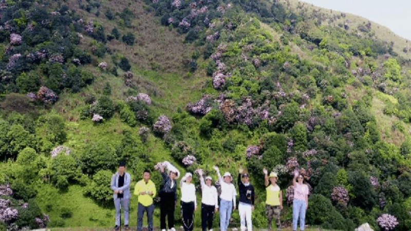 不到雞籠頂，枉為廣東人！原來，中國絕美的高山草原杜鵑花海在這里