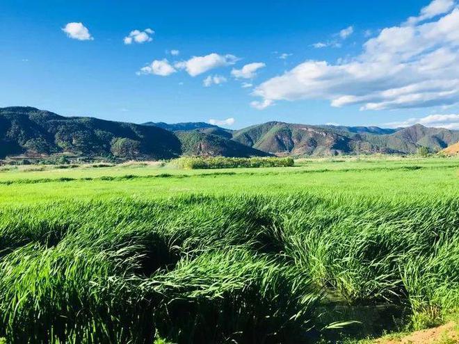 云南不可不去的地方 瀘沽湖旅游攻略之保姆級(jí)指南