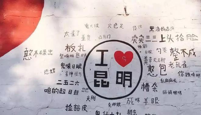 去昆明，邂逅寒冷冬日的春暖花開