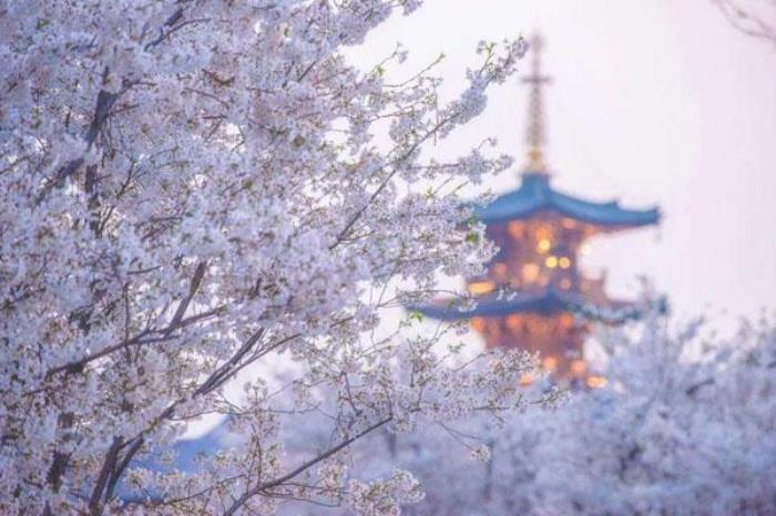 無錫拈花灣一日游攻略 春季旅游攻略