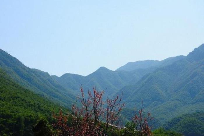 龍王山風景區在哪里 龍王山爬山攻略