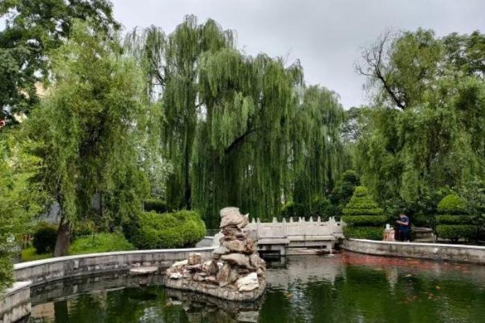 石家莊市到正定榮國府怎么走