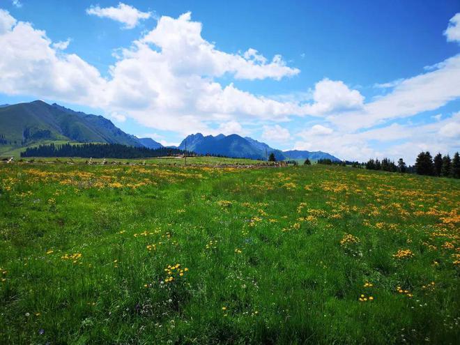 烏魯木齊周邊除了天山天池，還有個地方值得一去，安靜游客少
