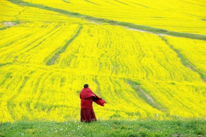 遇見甘南草原、黃河濕地、安多藏族風情