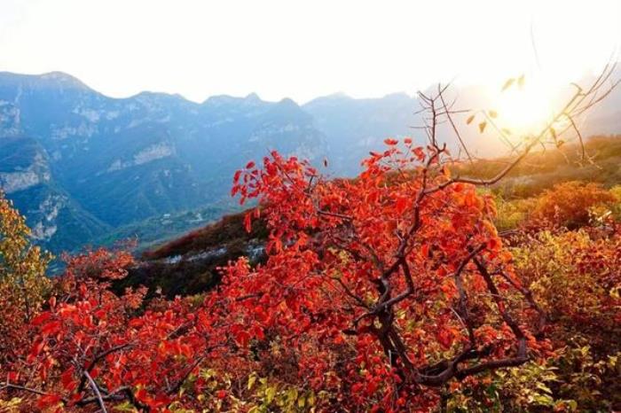坡峰嶺爬山需要爬多久