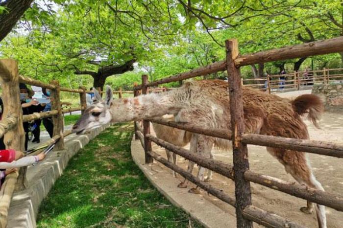西安秦嶺野生動(dòng)物園一日游攻略 附游玩路線及游覽攻略