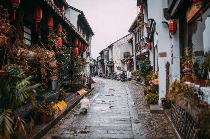 蘇州甪直古鎮(zhèn)旅游攻略 游玩景點推薦